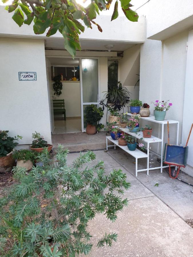 פינה חמה ברמה Apartment Ein Zivan Exterior foto