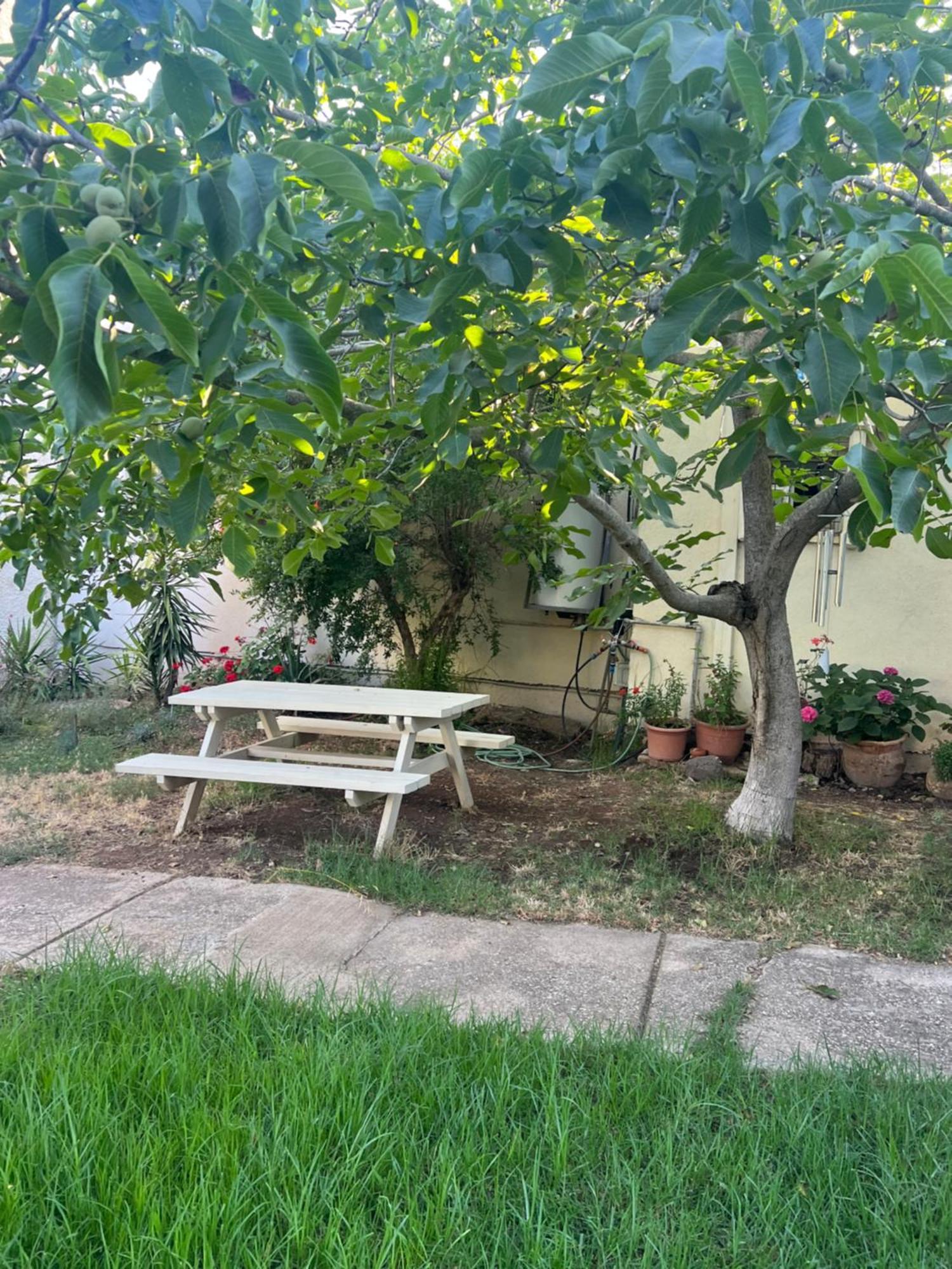 פינה חמה ברמה Apartment Ein Zivan Exterior foto